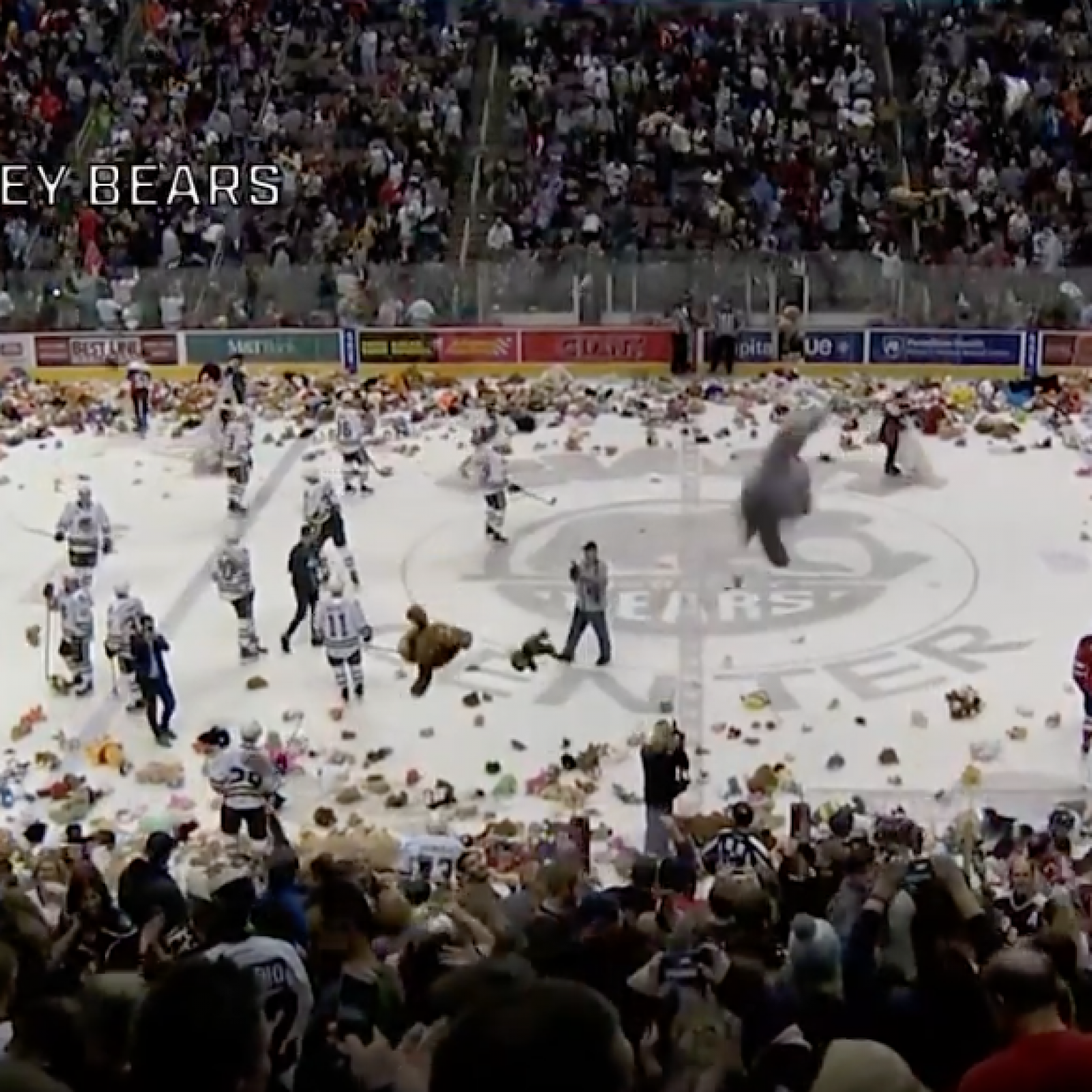Hockey Fans Toss So Many Stuffed Animals During A Game It Breaks A World  Record