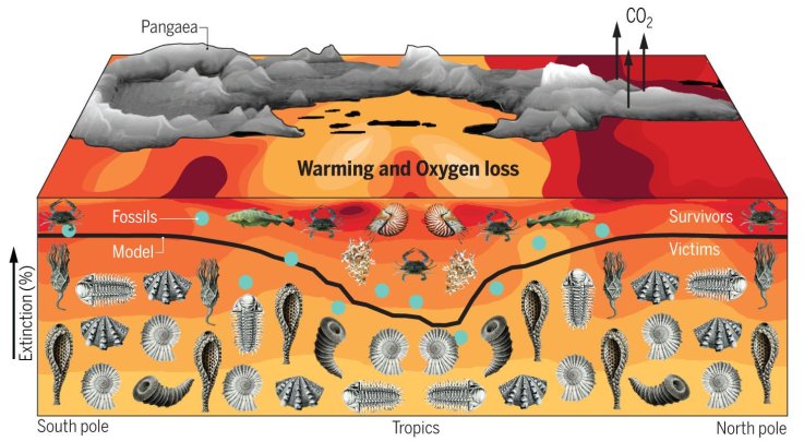 Paleo Schematic Paleo Schematic