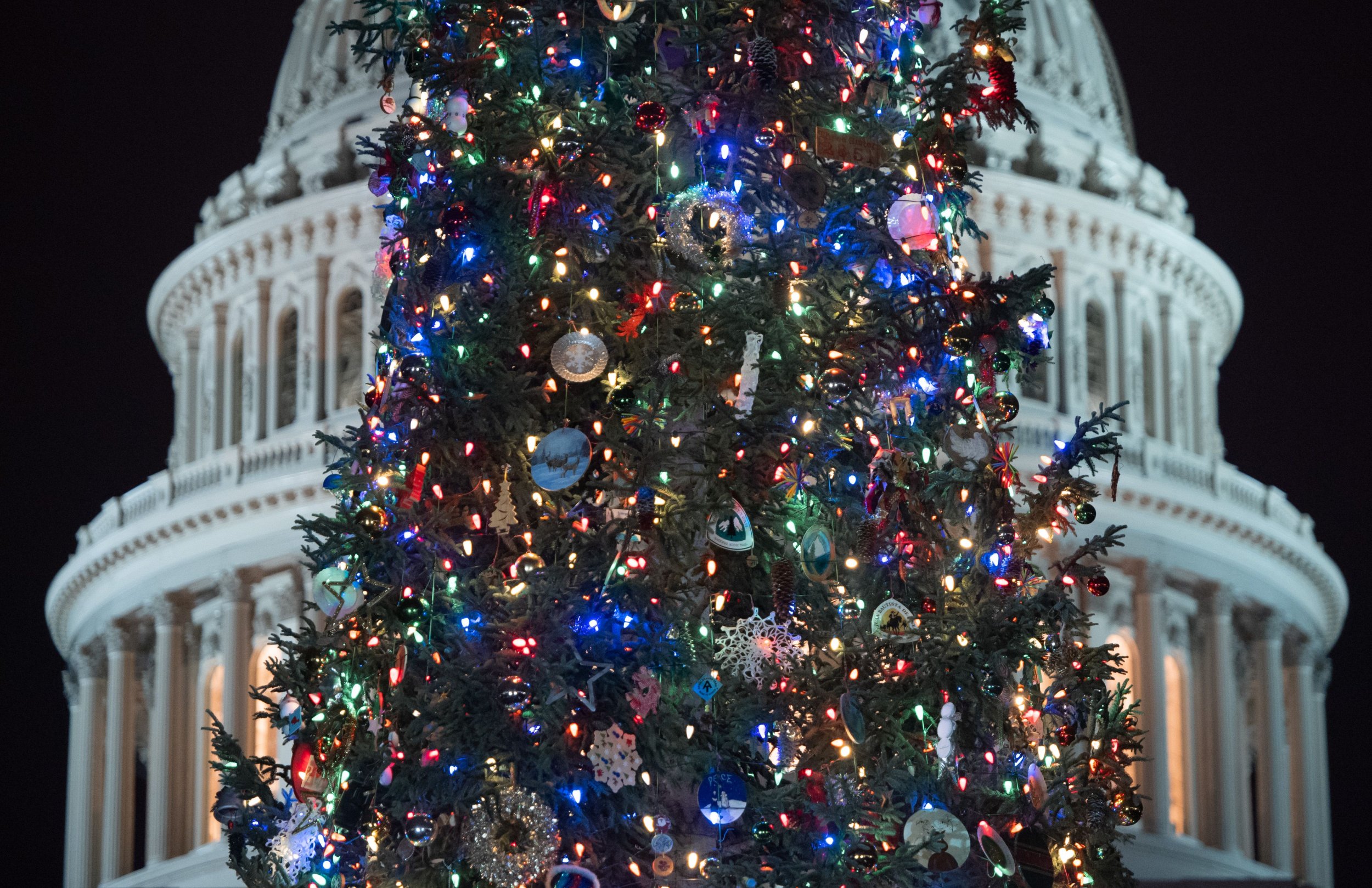 The Christmas tree is a tradition older than Christmas