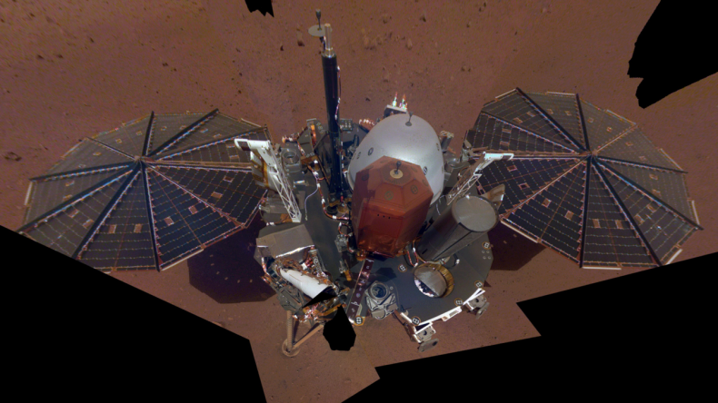 insight selfie
