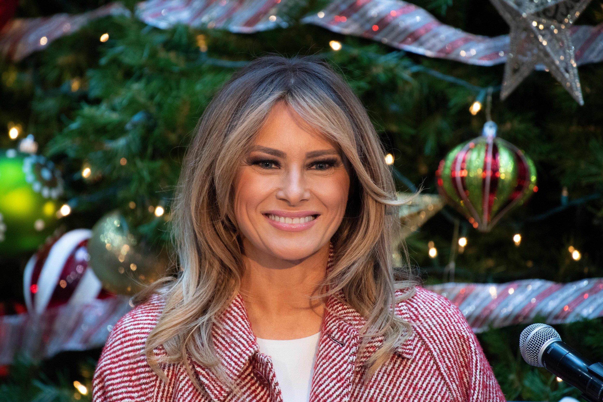 Melania Trump's Spokeswoman Complains To Fox News About 'Negative Media ...