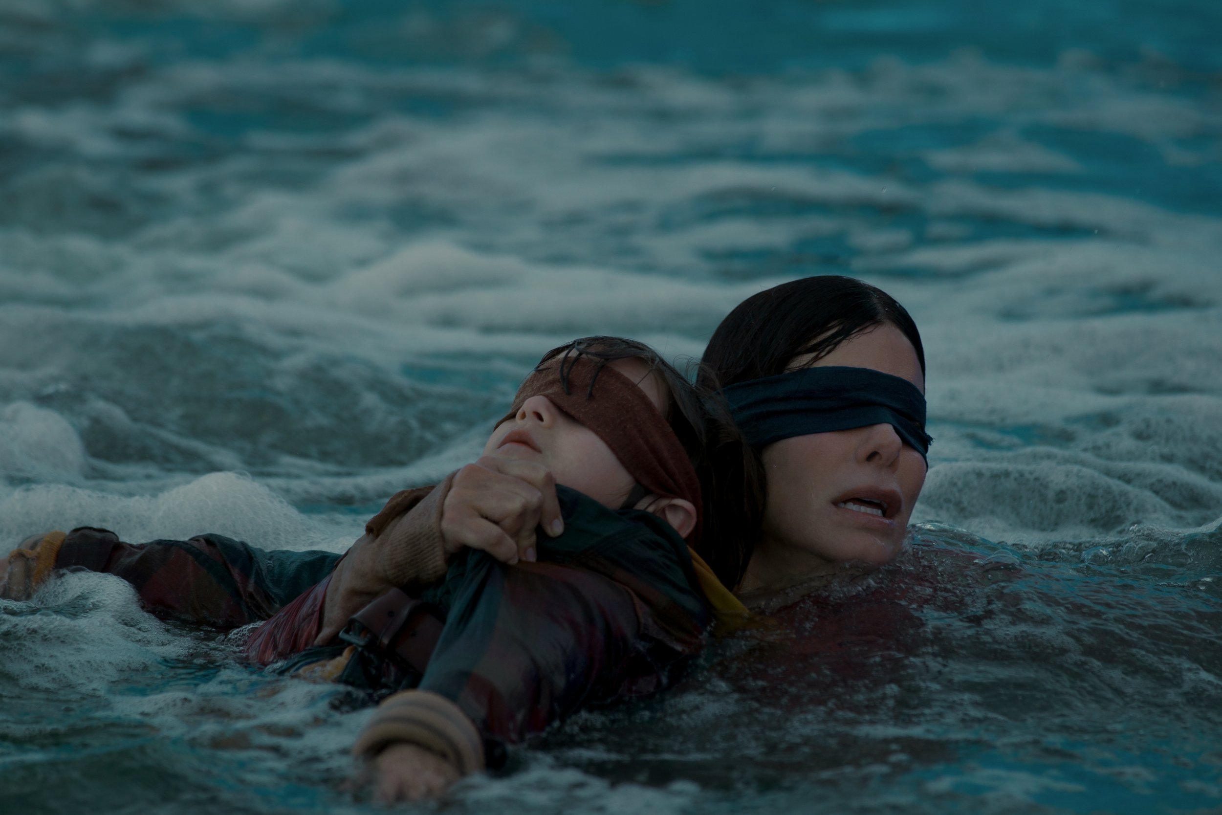 What Is Bird Box About Netflix S Sandra Bullock Horror Movie Spoilers And Plotlines