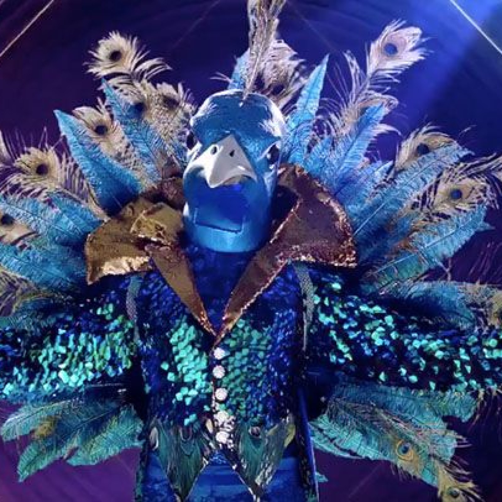 Uendelighed deform Forenkle Who Is Behind the Peacock Mask on 'Masked Singer'? Here Are Some Guesses