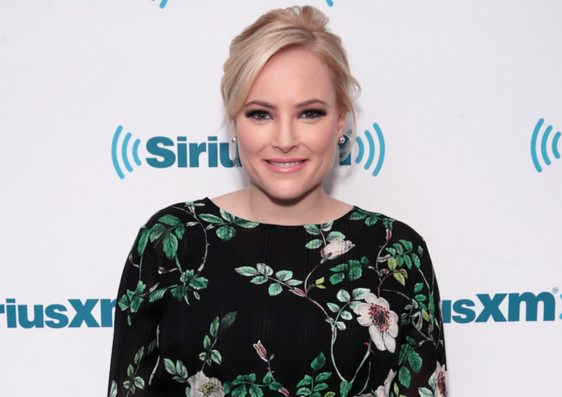 Meghan McCain on Gov't Shutdown