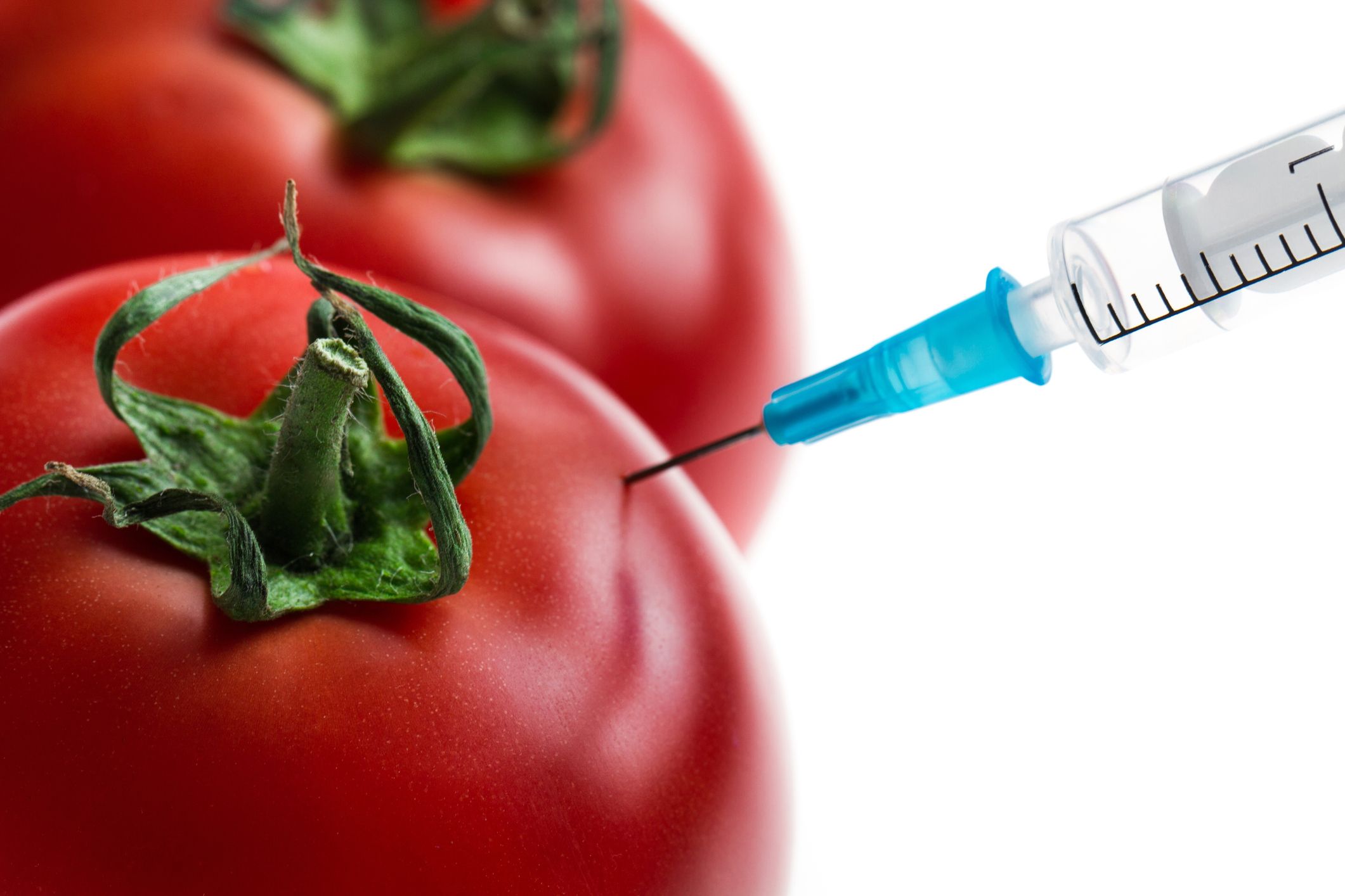 foods-that-are-gmo