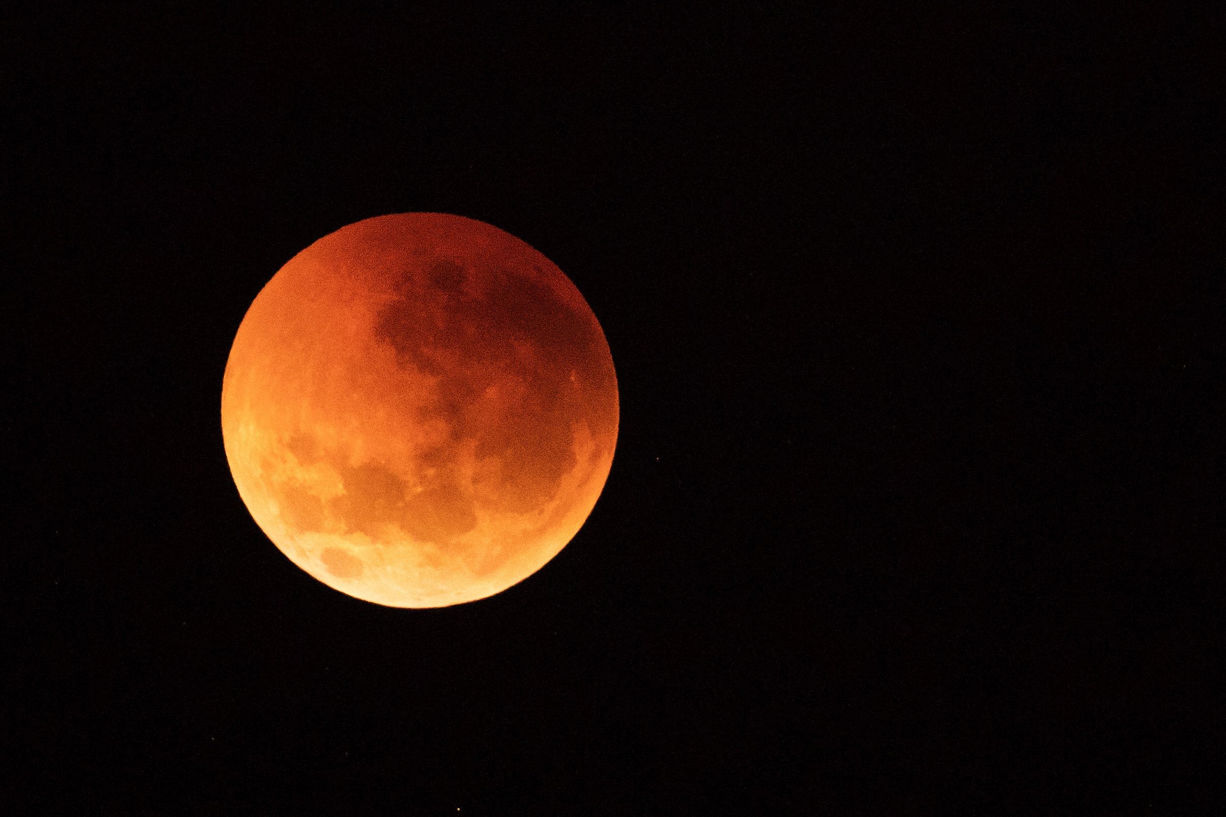 'Beautiful Rare Treat' of a Super Blood Wolf Moon—Physicist Explains