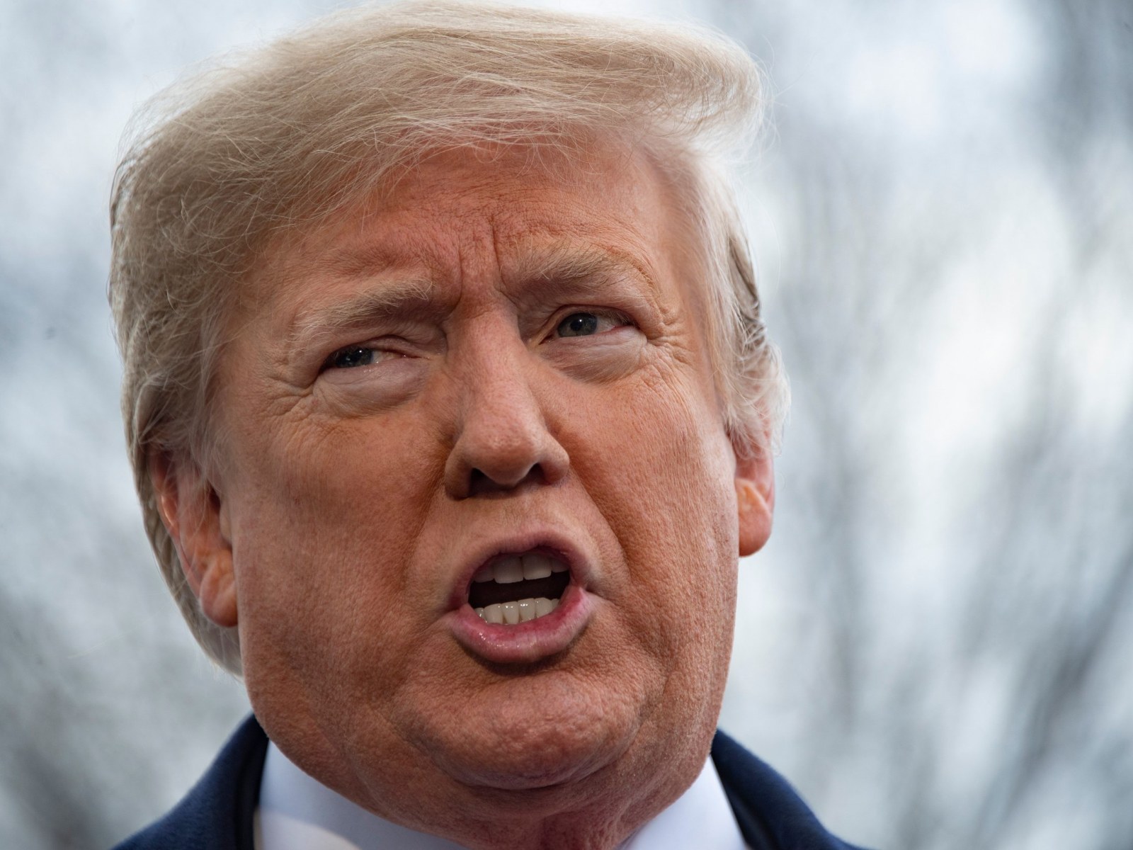 Florida Teacher Reprimanded For Calling Trump An Orange Carrot Saying He Sniffs During Speeches Because He Does Drugs