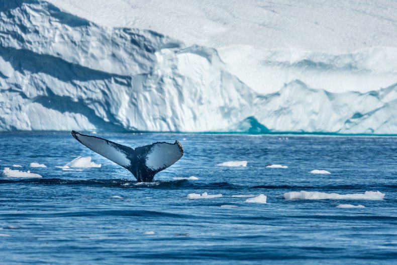 greenland ice stock getty