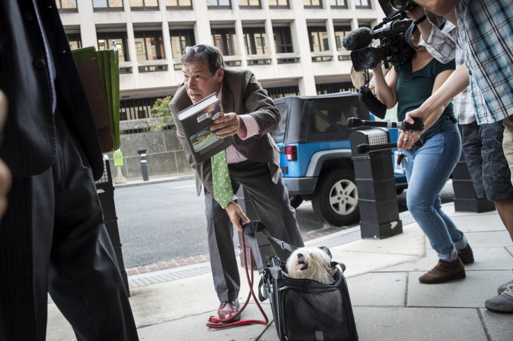 who, randy, credico, roger, stone, dog who, randy, credico, roger, stone, dog