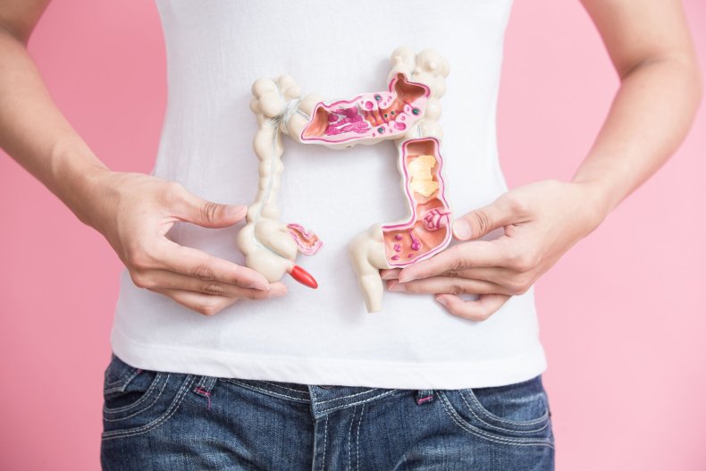 gut health stock getty