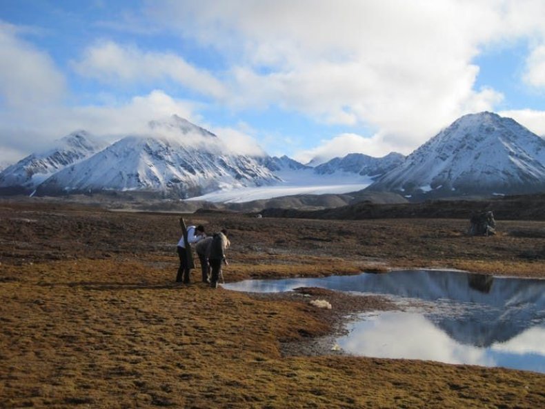 antibiotic resistant genes arctic