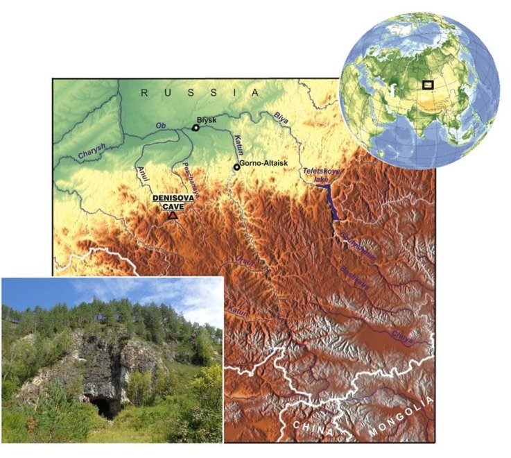Denisovan, Early Humans, Ancient Humans, Anthropology, Siberia Denisovan, Early Humans, Ancient Humans, Anthropology, Siberia
