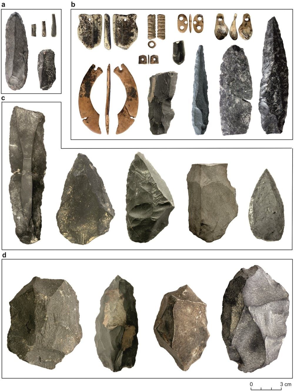 Who Were The Denisovans? Fresh Clues Emerge About Our Ancient Human Cousins