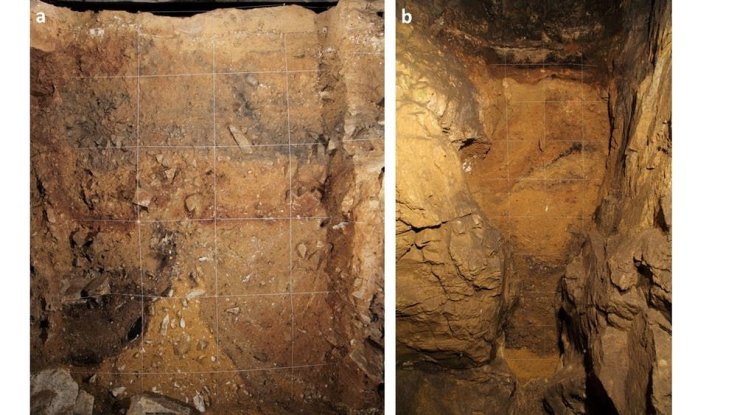 Denisovans, Ancient Humans, Early Humans, Archaeology, Anthropology, Science Denisovans, Ancient Humans, Early Humans, Archaeology, Anthropology, Science