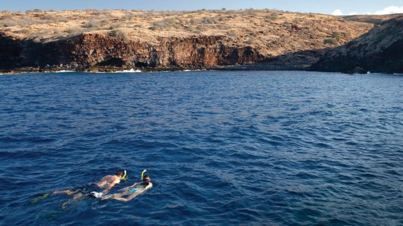 Hulopo'e Beach hawaii beach lanai snorkeling