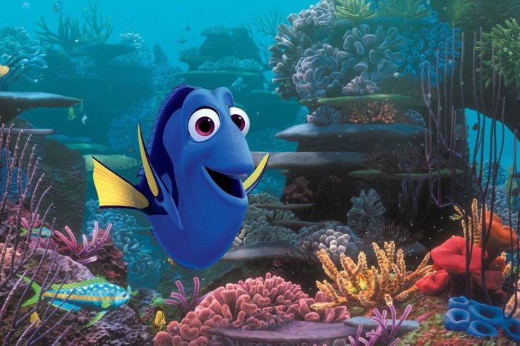 08 Finding Dory 08 Finding Dory