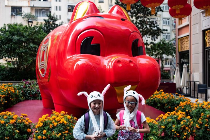 15中国新年 15 Chinese New Year