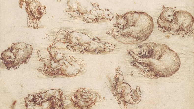 davinci davinci