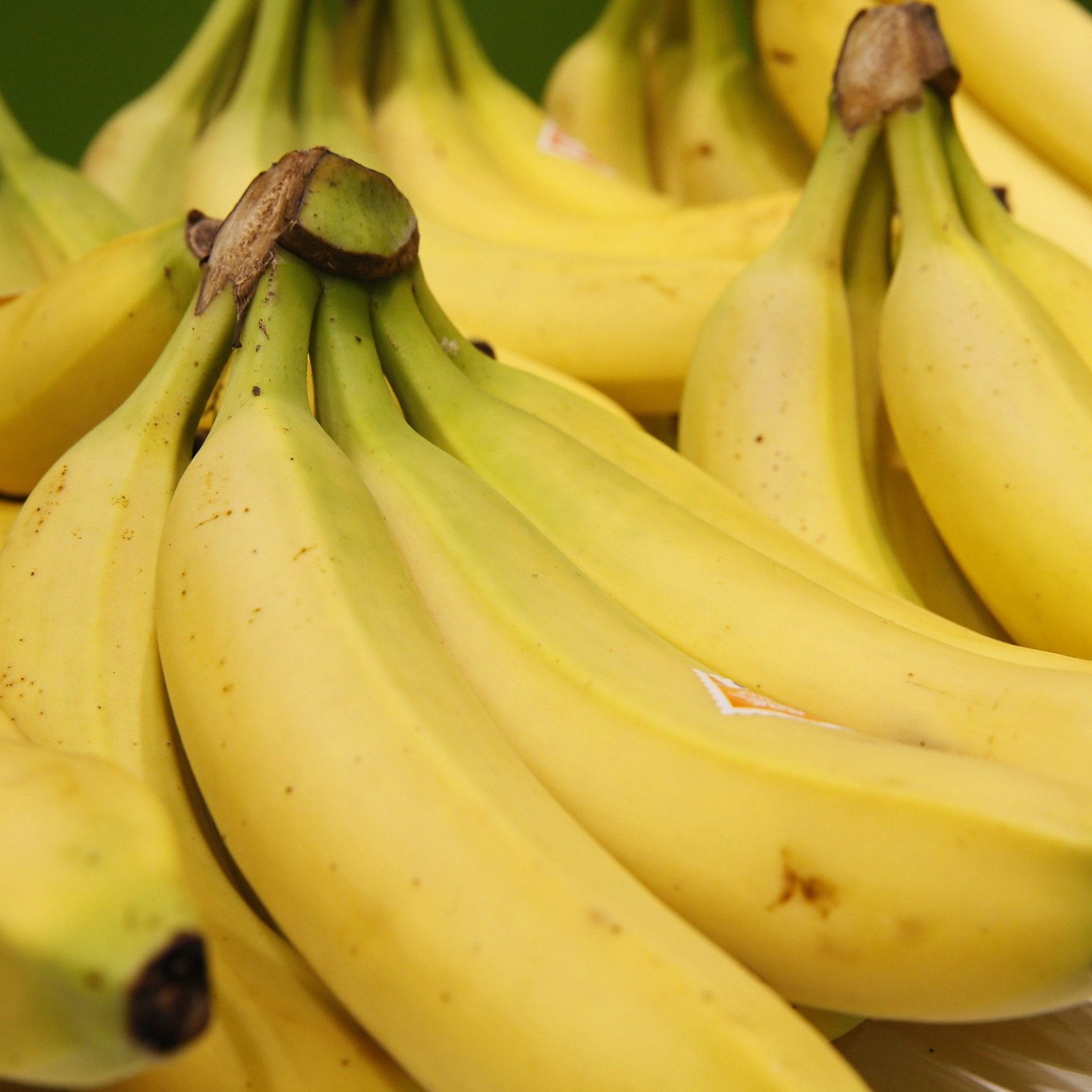 at klemme Encyclopedia kronblad The World's Bananas Are Clones—and They Are in Imminent Danger