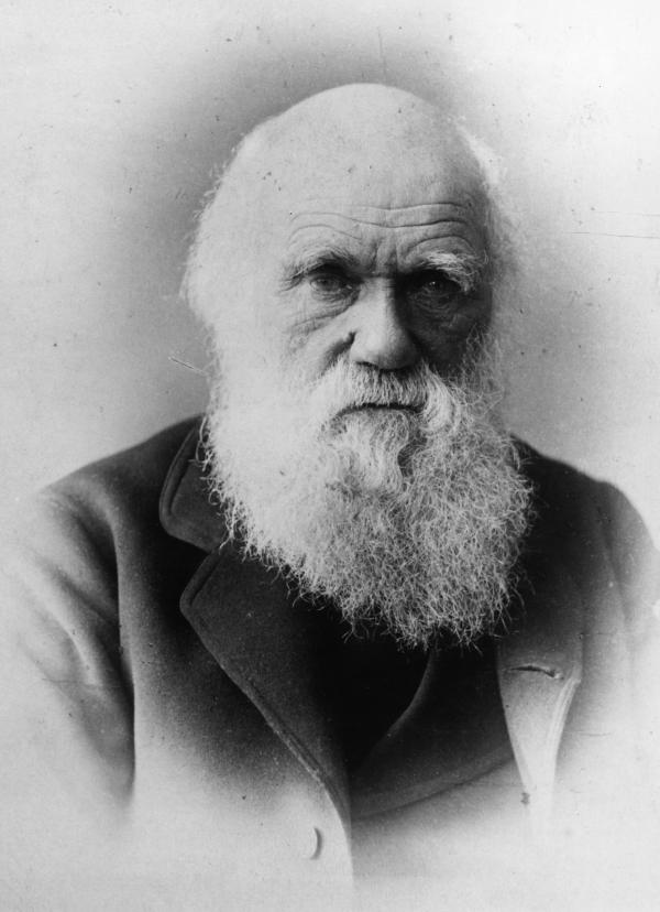 charles darwin portrait