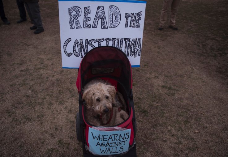 trump dogs pets trump dogs pets