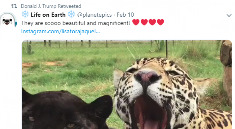 Donald Trump Twitter