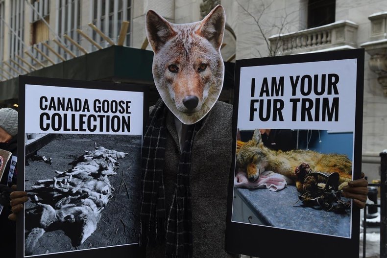 Are Canada Goose Jackets Inhumane The, Canada Goose Coats Use Real Fur