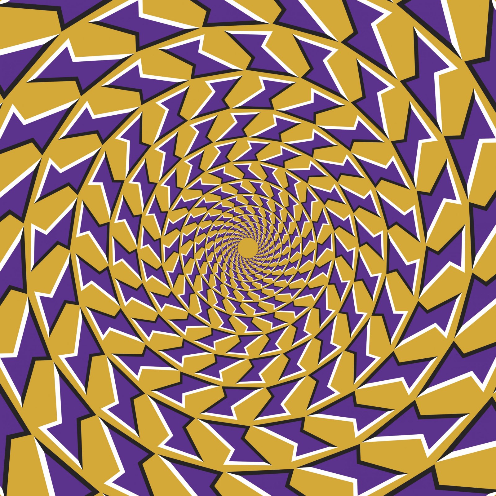 What Happens to Your Brain When You Look at an Optical Illusion?