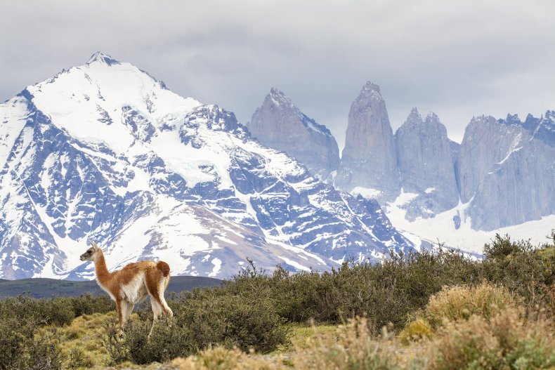 Torres del Paine National Park Stocksy_comp_410307 (1)