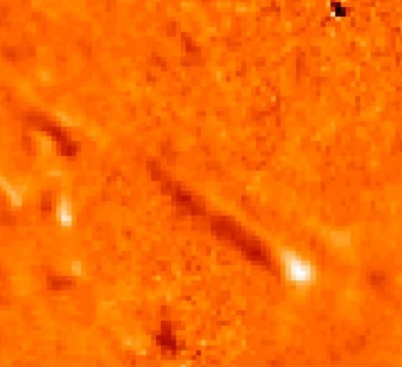 Tadpole sun