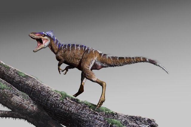 Dinosaur Predation in the Fossil Record - Digital Atlas of Ancient