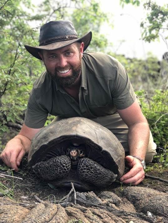 Fernandina Tortoise galapagos