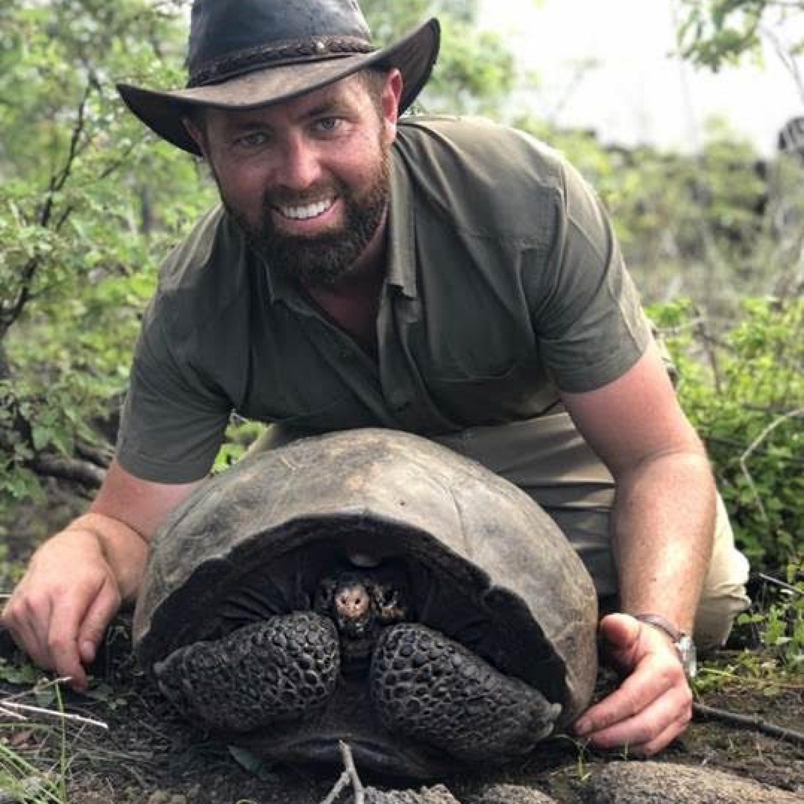 Fernandina Tortoise Thought To Be Extinct Found Alive On Galapagos