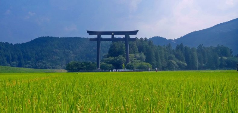 Best Walking Tours - Trek the Kumano Kodo Pilgrimage Trail in Southeastern Japan