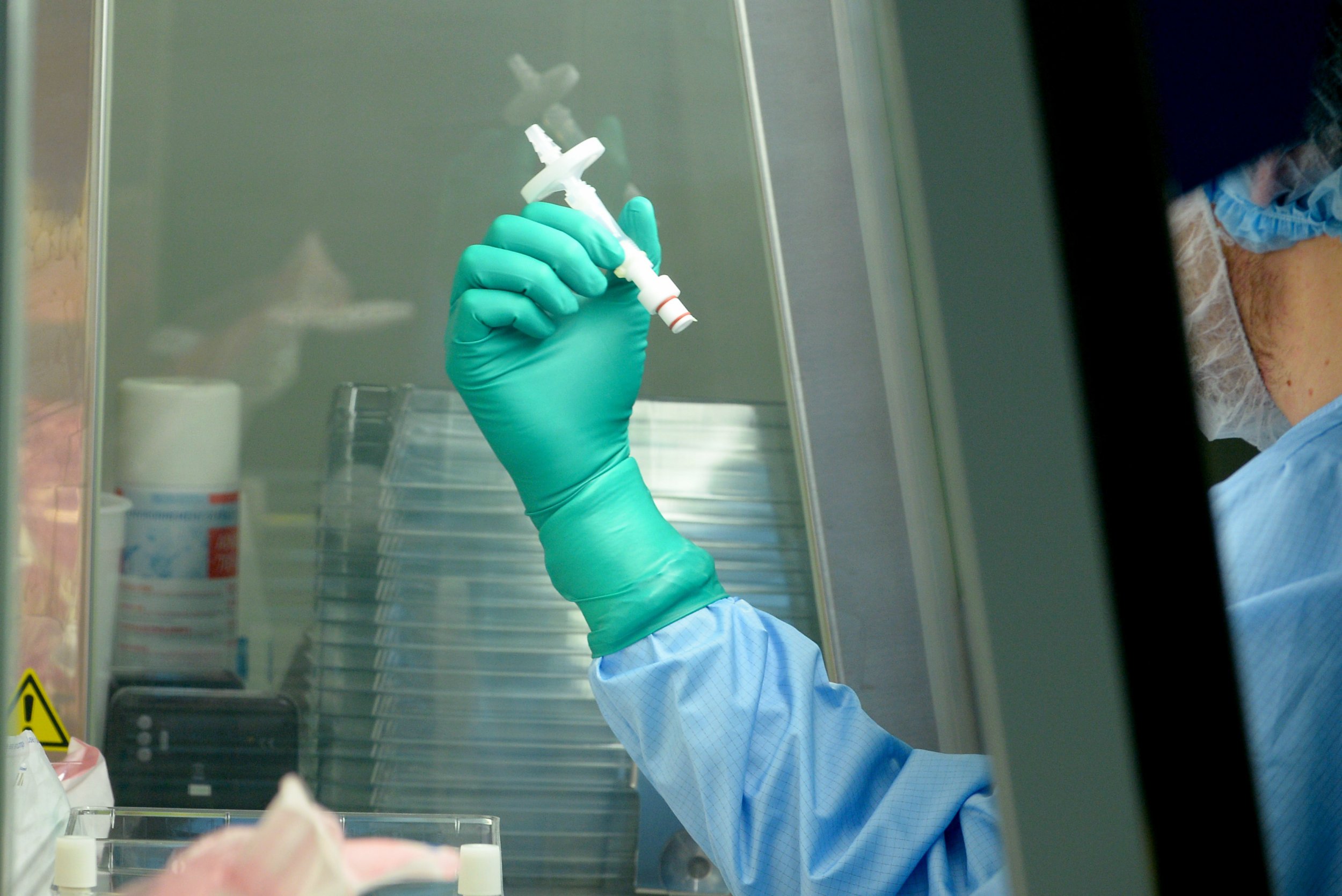 Gingrich-Gene-Therapy-626652826