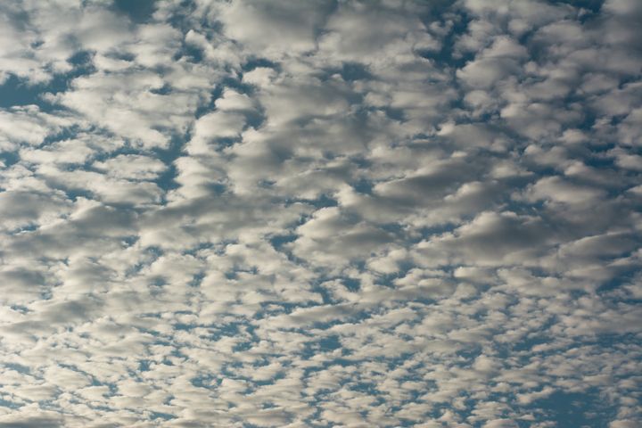 Carbon Dioxide Could Make Clouds Vanish, Raising Global Temperatures by 8 C