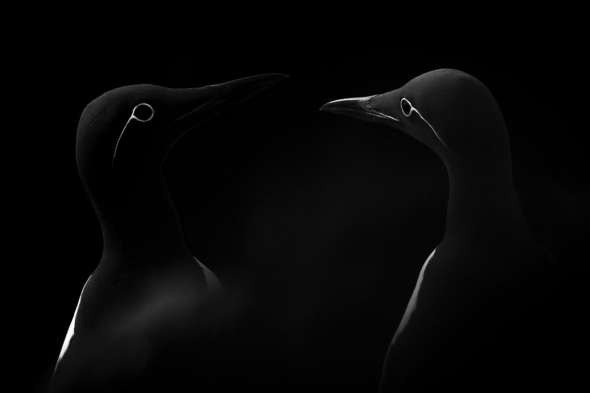 Sony World Photography Awards 2019 The Best Picture From Each Country Images, Photos, Reviews