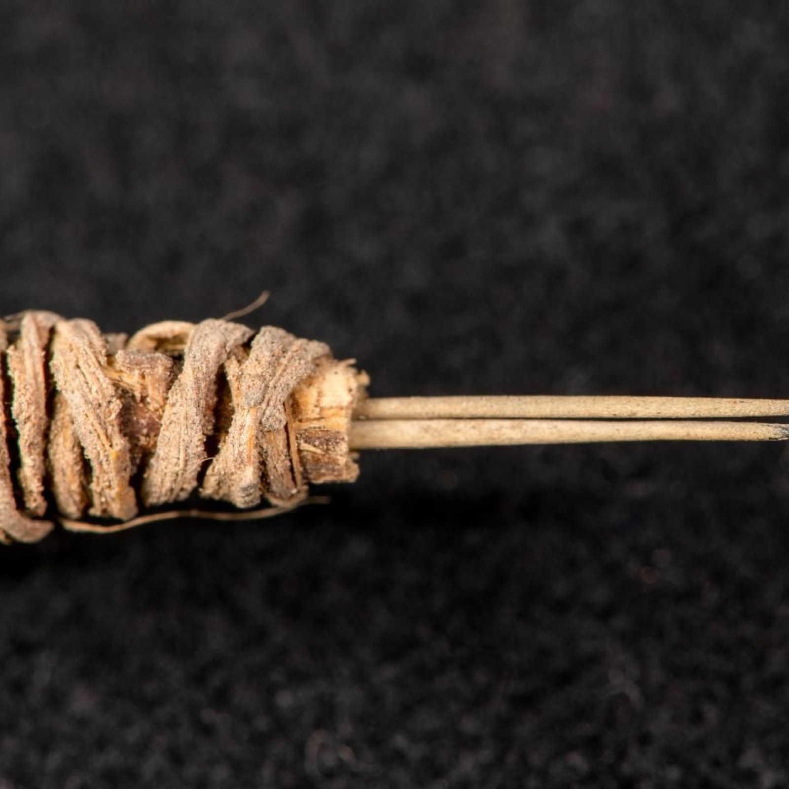 2 000 Year Old Tattooing Needle Made From Cactus Spines Discovered