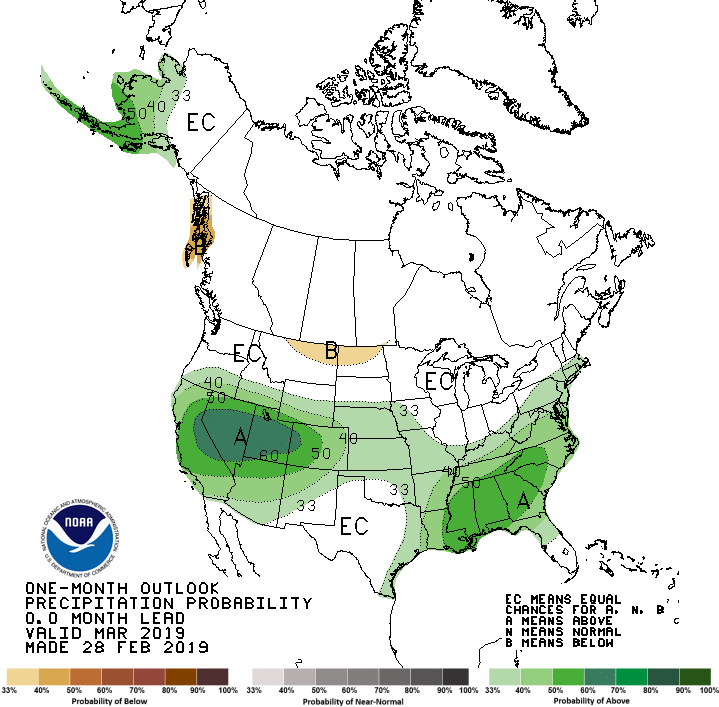 precip outlook
