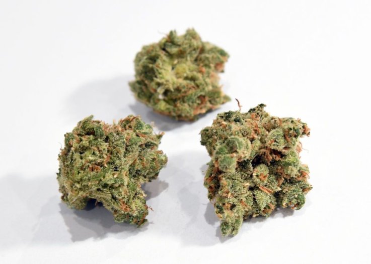 cannabis las vegas marijuana cannabis las vegas marijuana