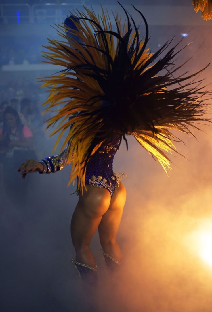 08里约热内卢狂欢节2019年Vila Isabel10 08 Rio de Janeiro Carnival 2019 Vila Isabel10