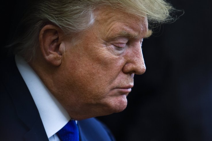 Donald Trump survive week Andrew Napolitano Donald Trump survive week Andrew Napolitano