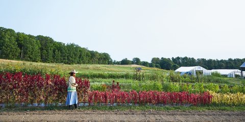 CUL_Garden_01_banner