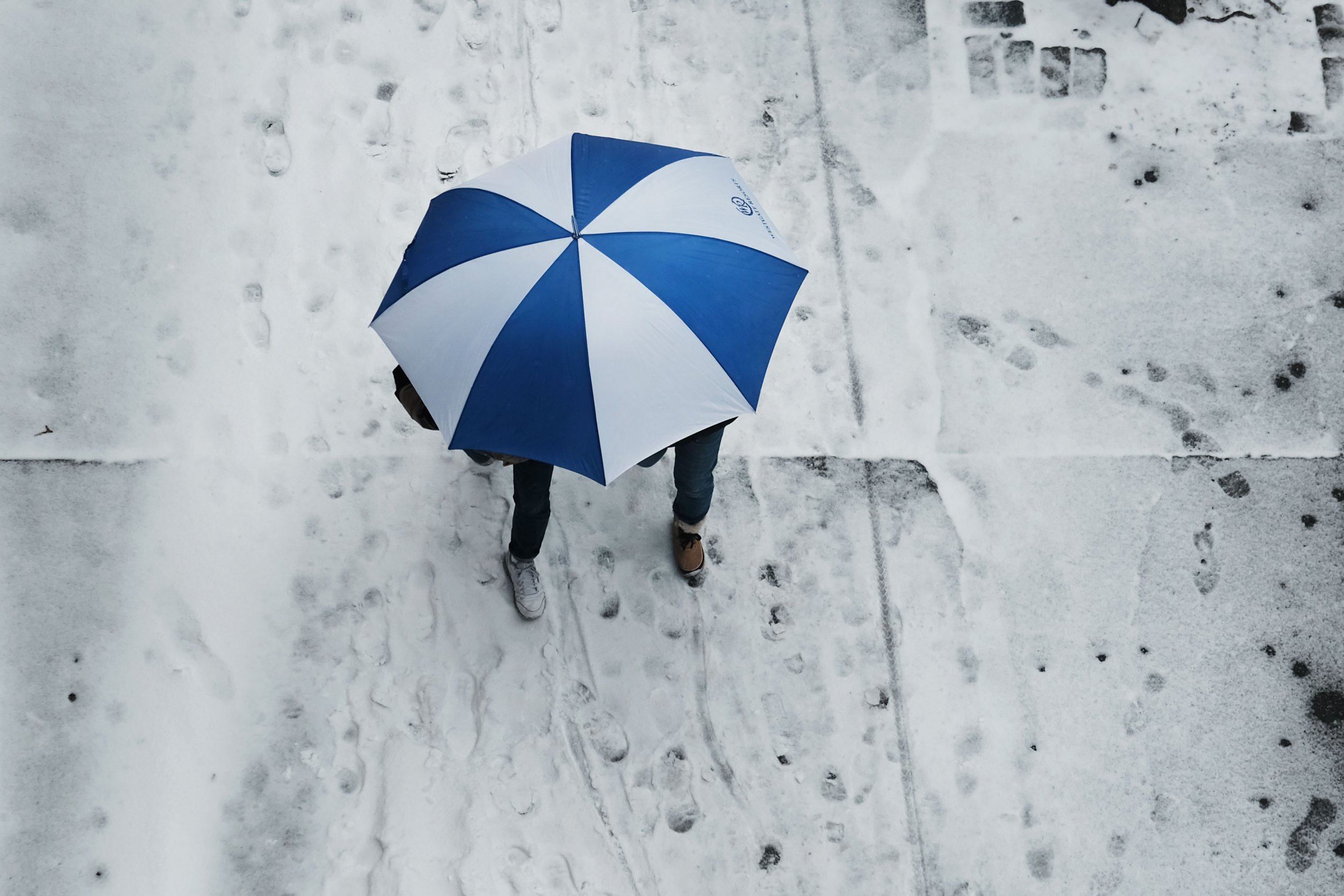 winter storm bombogenesis