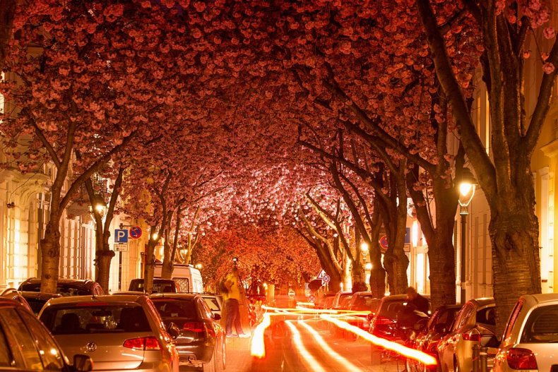 GettyImages-522705352-Bonn