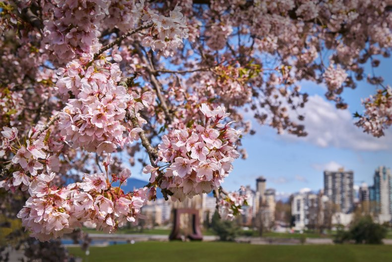 GettyImages-668480560-vancouver