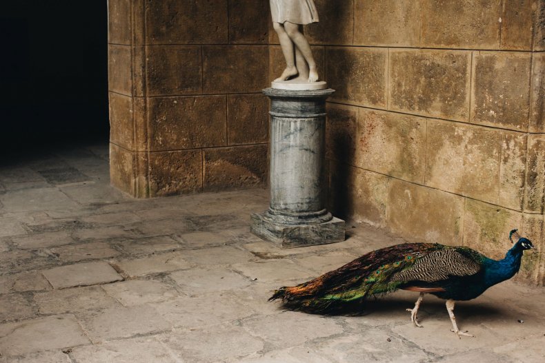 Travel Images Tiny Atlas Quarterly - Curious 5
