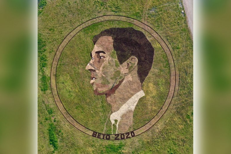 crop beto
