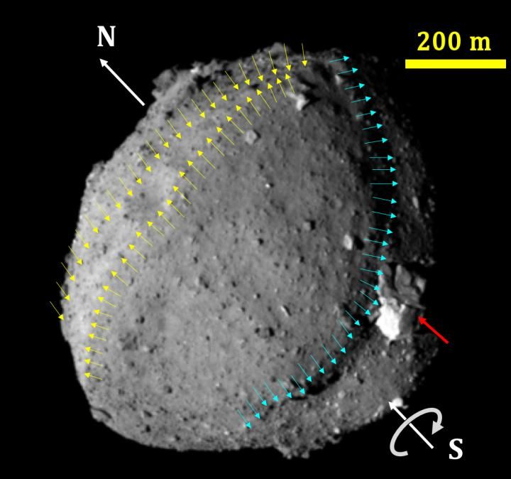 spinning top asteroid Ryugu