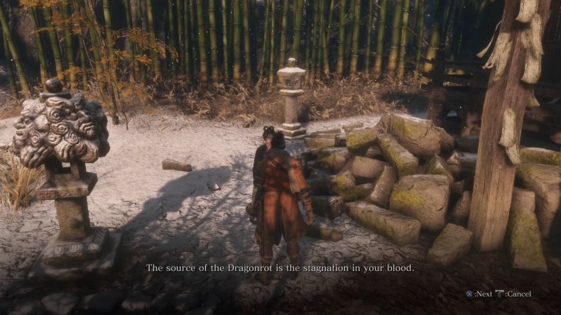 sekiro-rot-essence-cure-dragonrot-your-fault
